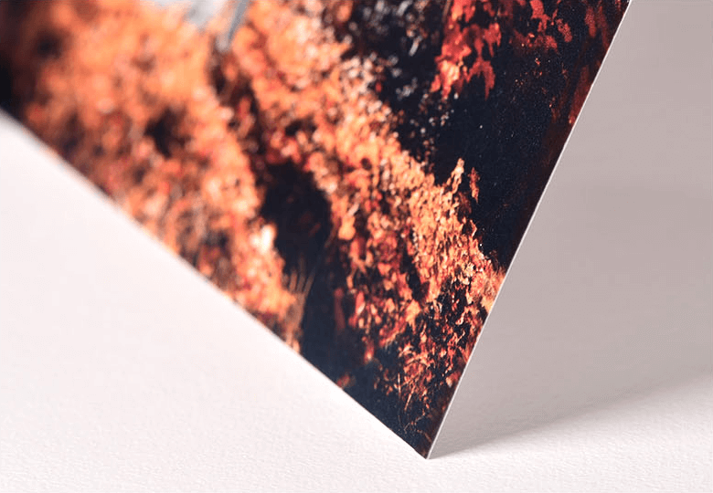 Create Greeting Cards Online Photobook Canada